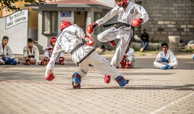 Iran’s Alimoradian takes gold at taekwondo: 2025 Riyadh – Tehran Times