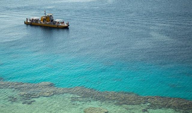 From Surviving Massacre To Death Sentence, Sheikh Hasina’s 50-Year Journey – NDTV