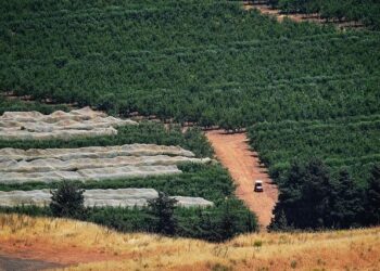 Israel Lebanon escalation – PressTV