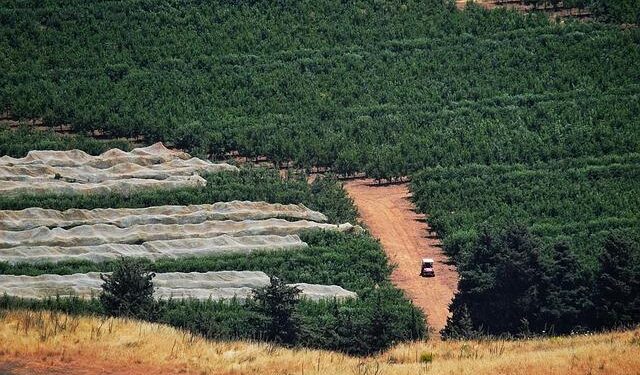 Israel Lebanon escalation – PressTV