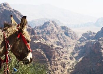 Jordan Brand Readies Air Jordan Mule “Dark Team Red” for 2026 – House of Heat°