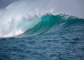 Indians who fled a Myanmar cyberscam center are being flown home from Thailand – AP News