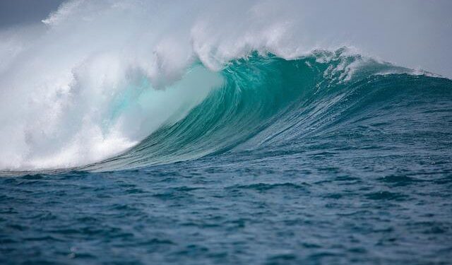 Indians who fled a Myanmar cyberscam center are being flown home from Thailand – AP News