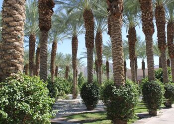 Lauren Daigle and Jordan Davis debut as hosts on ‘CMA Country Christmas’ from Nashville – 13newsnow.com