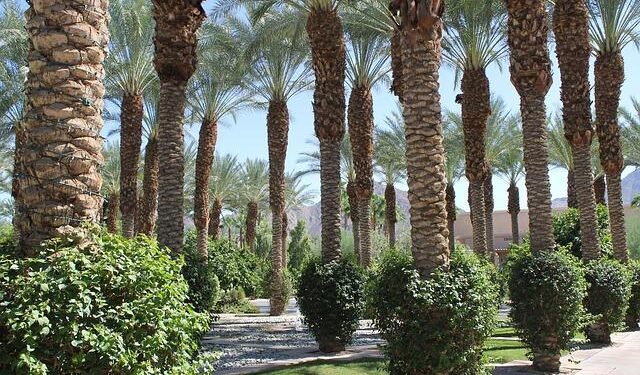 Lauren Daigle and Jordan Davis debut as hosts on ‘CMA Country Christmas’ from Nashville – 13newsnow.com