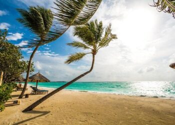 Paradise on a budget: How the Maldives became (surprisingly) accessible – BBC