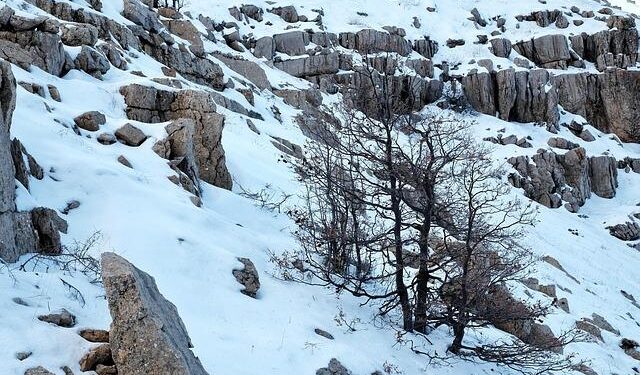 Israel-Syria tensions continue after Israeli raid as White House urges ‘dialogue’ – Long War Journal