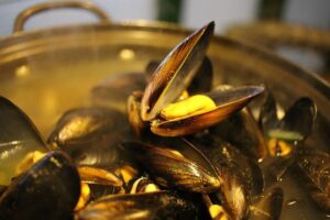 Angkor Resources Confirms Mussel Basin Target on Block VIII Oil & Gas License, Cambodia – Investing News Network