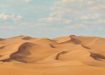 UAE Vs Oman Highlights, Asia Cup Rising Stars 2025: OMA Edge Out Opponents In Nail-Biting Last-Ball Thriller – Outlook India