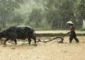 Asia flood death toll surpasses 1,500 as calls grow to fight deforestation – Albuquerque Journal