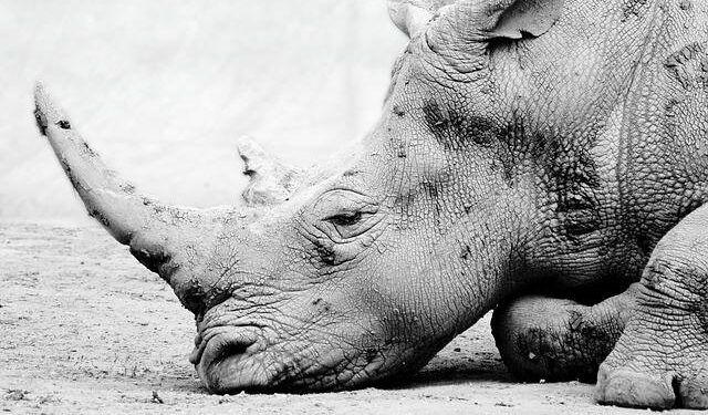 A Southern Uprising Puts Two US Partners on Collision Course in Middle East – Newsweek