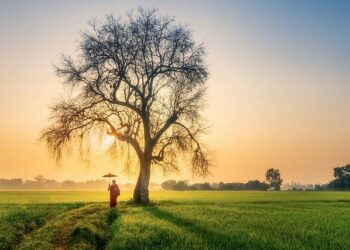 Opening new opportunities for Viet Nam–Brunei cooperation – Nhan Dan Online