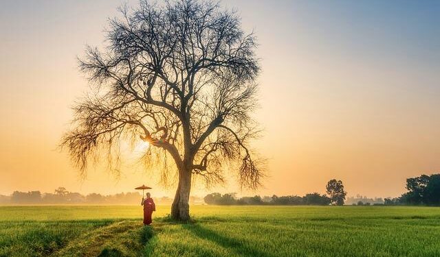 Opening new opportunities for Viet Nam–Brunei cooperation – Nhan Dan Online