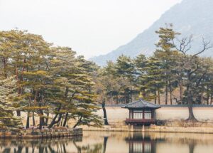 2025 Seoul Winter Festa held in S. Korea – Xinhua