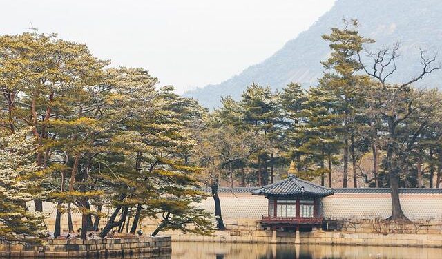 2025 Seoul Winter Festa held in S. Korea – Xinhua