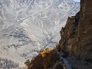 Tajikistan amends language law: Tajik to be used on signs, advertisements, and news conferences – ASIA-Plus