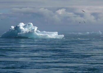 Climate Change Kills More in Asia: 1,600 Dead, Rp330 Trillion in Losses – VOI.ID