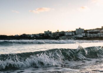 Alleged Bondi gunmen travelled to Philippines, ‘aligned’ with terrorist group, police say – SBS Australia