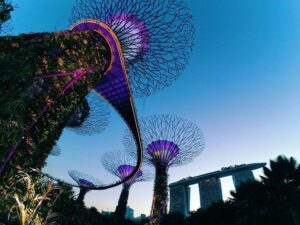 2024 Country Reports on Human Rights Practices: Singapore – U.S. Department of State (.gov)