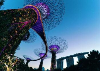 2024 Country Reports on Human Rights Practices: Singapore – U.S. Department of State (.gov)