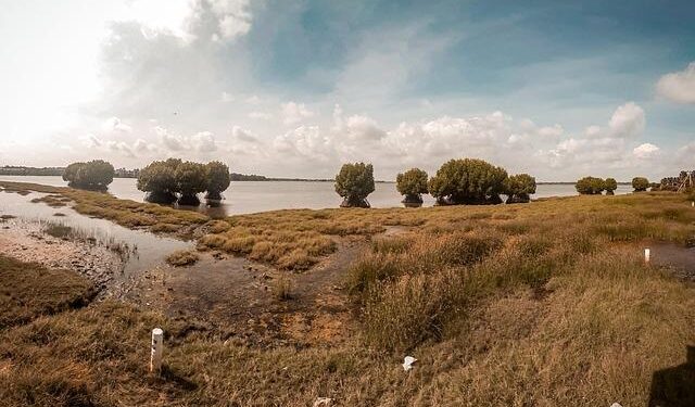 Sri Lanka reels from floods, hundreds still missing – DW