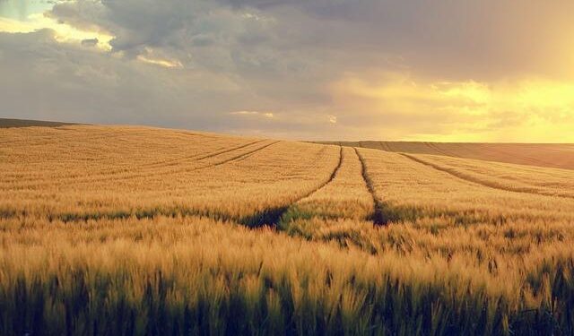 Uzbekistan Surges with Seventy-Three Percent Tourism Growth in 2025, Rivals Vietnam, Japan, and South Korea as Asia’s Top Destination – Travel And Tour World