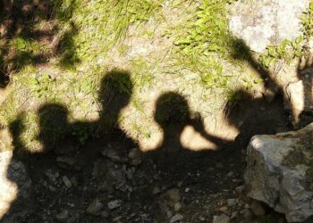 Ole Miss easily beats Tulane again to set up rematch with Georgia in Sugar Bowl – Yahoo Sports