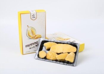 Singapore sees $30 all-you-can-eat Musang King durian buffet for year-end holiday – VnExpress International