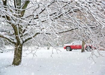 Asia’s Truck and Bus Tyre Market Poised for Steady Growth With a 2.5% CAGR in Value Through 2035 – IndexBox