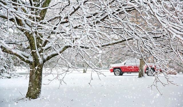 Asia’s Truck and Bus Tyre Market Poised for Steady Growth With a 2.5% CAGR in Value Through 2035 – IndexBox