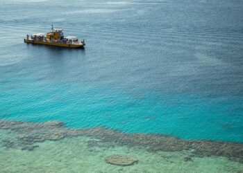 Sheikh Hasina: Bangladesh plans to execute its former leader. There’s one big thing in the way: India – CNN