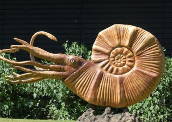 Dinosaur Fossils Unearthed in Uzbekistan and Tajikistan Illuminate Central Asia’s Prehistoric Past – The Times Of Central Asia