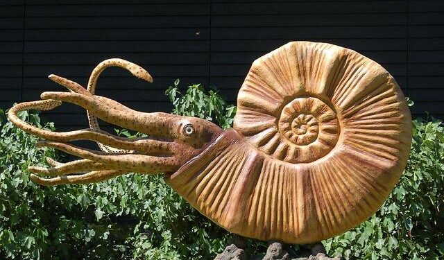 Dinosaur Fossils Unearthed in Uzbekistan and Tajikistan Illuminate Central Asia’s Prehistoric Past – The Times Of Central Asia