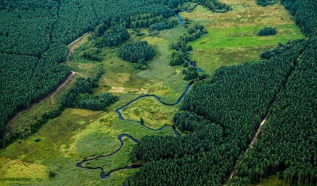 Aerial photos reveal China’s ‘carpet-like’ project blanketing vast desert: ‘Sandy and mostly devoid of life’ – Yahoo