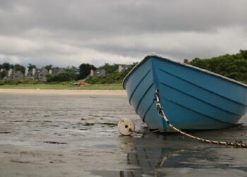 Pre-market US Stock Outlook | Taiwan Semiconductor’s earnings report ignites AI investment enthusiasm! Nasdaq futures rise nearly 1%; semiconductor equipment and materials, memory, and optical communication concept stocks generally advance, with AS – 富途牛牛