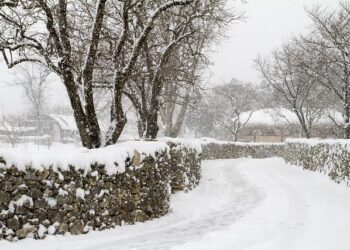Heavy snowfall, rains kill 11, injure 3 in Afghanistan – Latest news from Azerbaijan