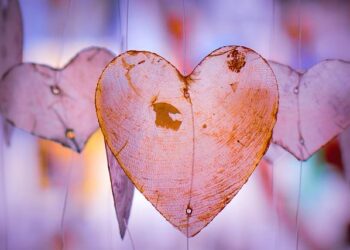 Experts discuss US-China relations through tariffs, technology, Taiwan lens in Davos – Anadolu Ajansı