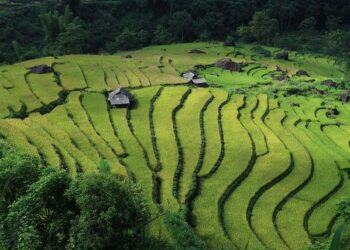 How Vietnam makes influencer marketing work – Campaign Asia