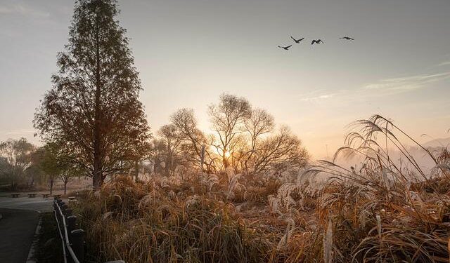 like a steel ribbon, volcano-in visitor center by PLAT ASIA undulates over steppe in china – Designboom