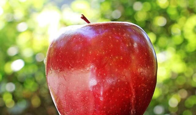 Apple Buys Israeli AI Startup That Interprets Facial Movements – Bloomberg.com