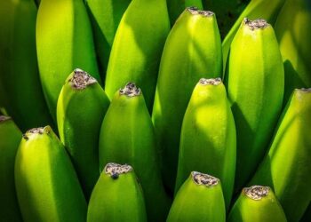 In December, Indonesia’s exports surpassed forecasts, reflecting an impressive growth rate of 11.64% – vtmarkets.com