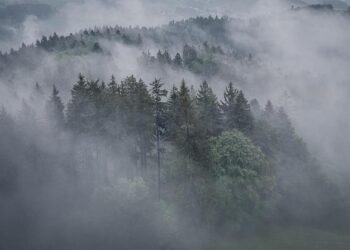 First in Central Asia: Uzbekistan Orders Flexrotor Drones from Airbus – Мілітарний