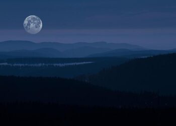 Man Fatally Shot in Northern Israeli Arab Town as 2025 Homicide Toll Rises to 39 – Haaretz