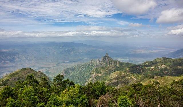 Anthropic’s India expansion collides with a local company that already had the name – TechCrunch