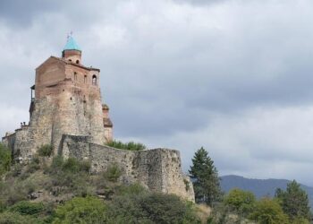 Middle Georgia Senate candidates weigh in on state house bills – The Macon Melody