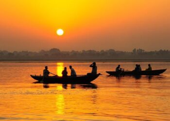 My India, February 14 – KOMO