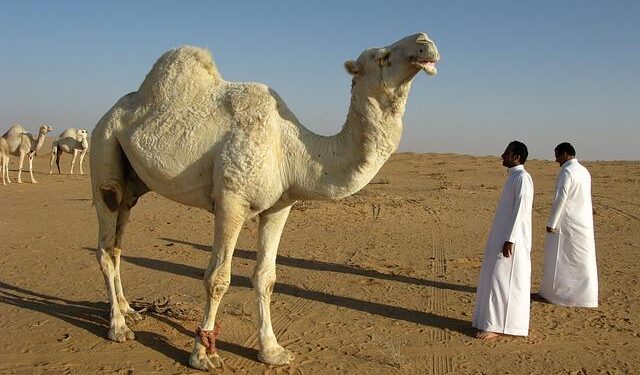 Back to reality: Why Saudi Arabia is downsizing its Vision 2030 plans – Monocle