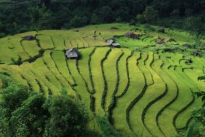 IRONMAN Vietnam to Bring Excitement of Full Distance Triathlon Racing to South-East Asian Holiday Destination – Ironman