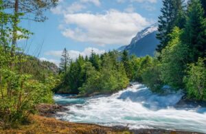 Norway’s EcoFishCircle signs deal for salmon farm in Saudi Arabia – Undercurrent News
