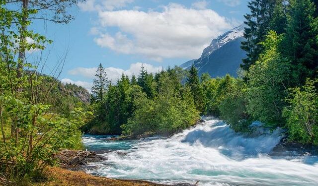 Norway’s EcoFishCircle signs deal for salmon farm in Saudi Arabia – Undercurrent News